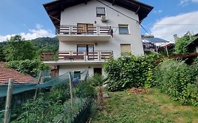 Apartma Doma